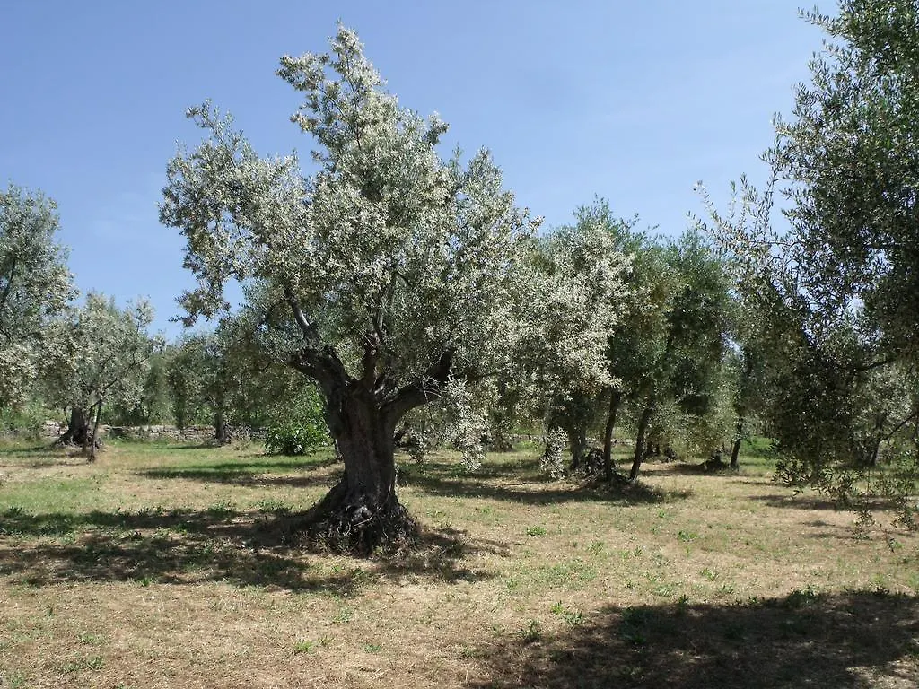 Agriturismo Il Viaio Fiesole Farm stay